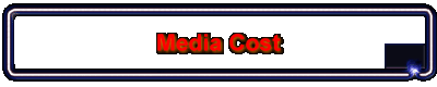 Media Cost